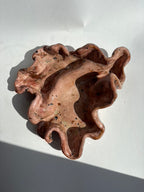 flor, lille