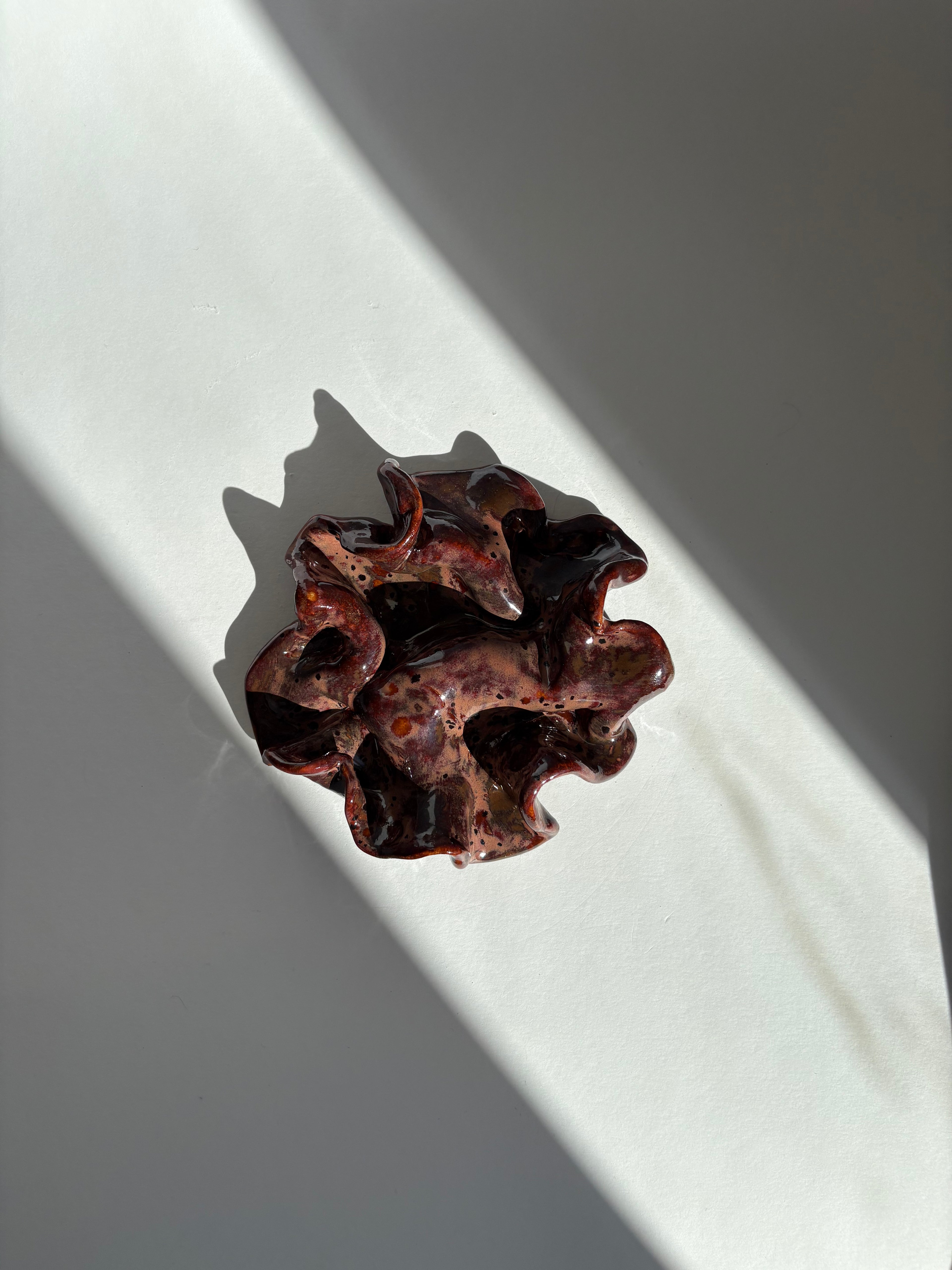 blodbøg, lille