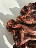 blodbøg, mellemstor