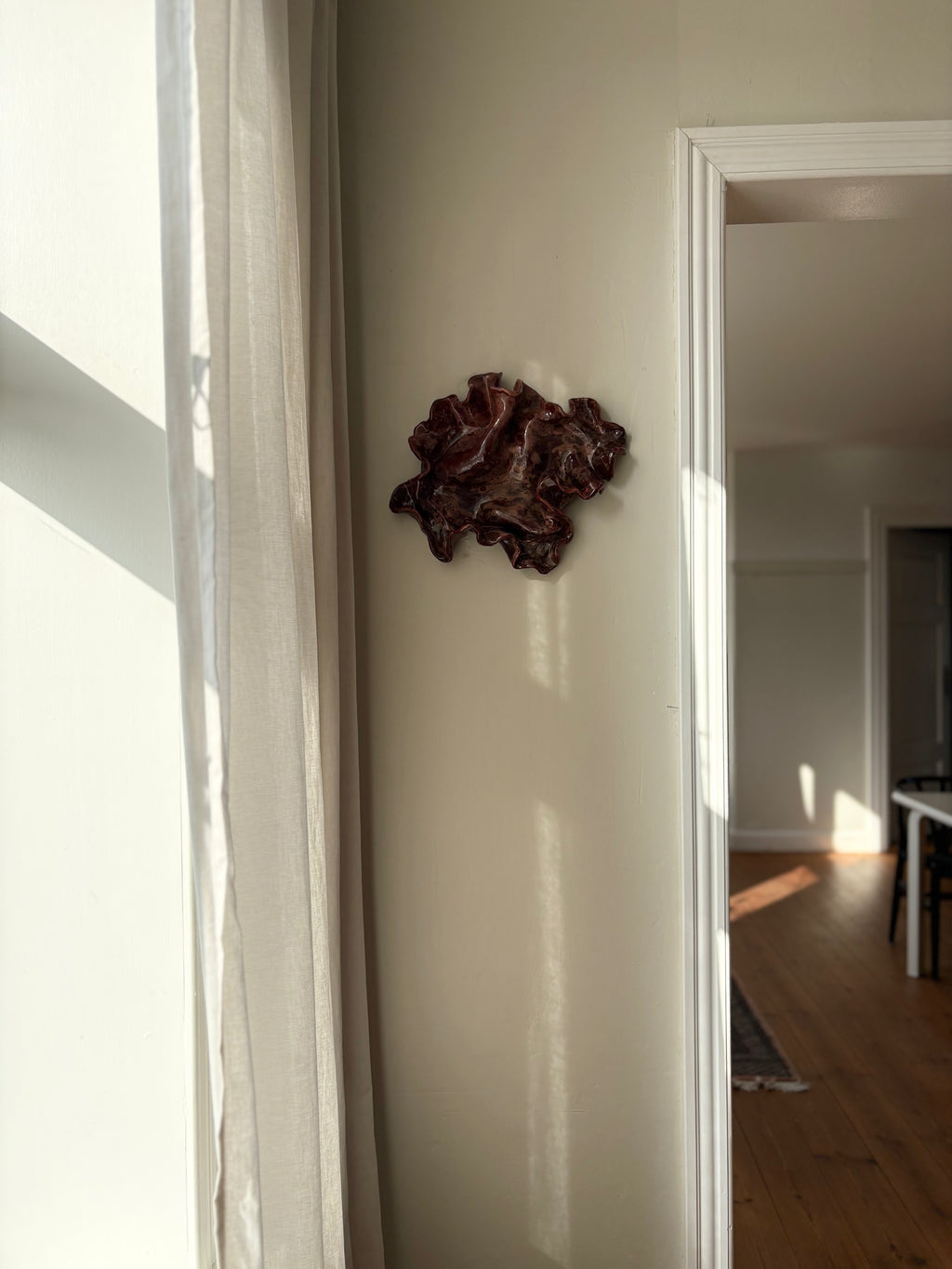 blodbøg, mellemstor