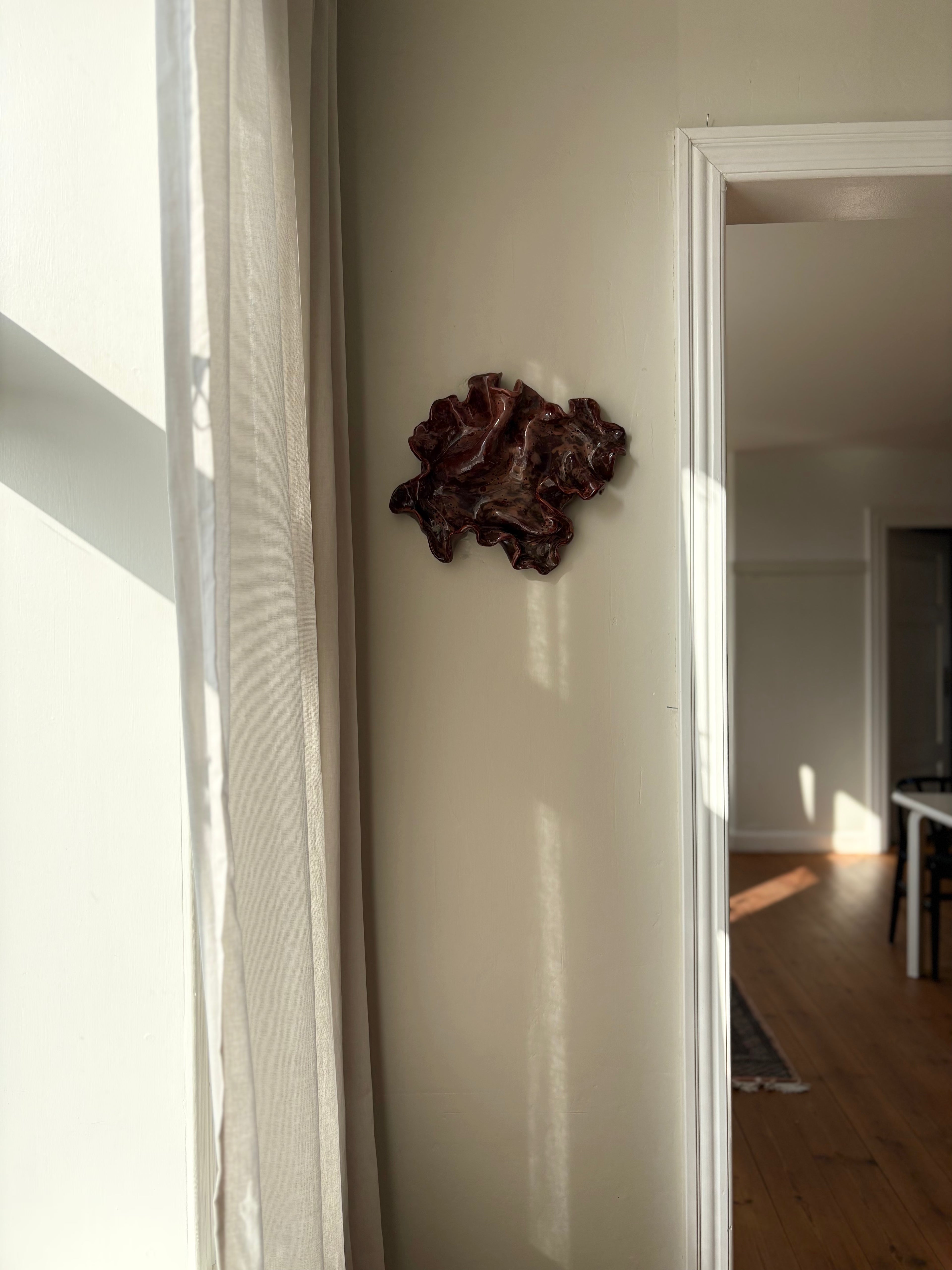 blodbøg, mellemstor