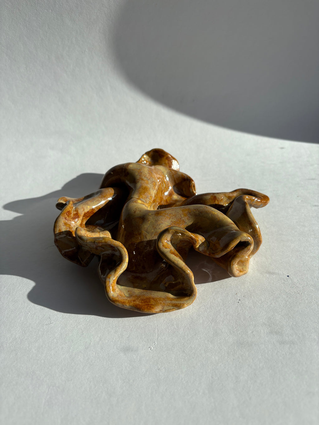 rav, mini