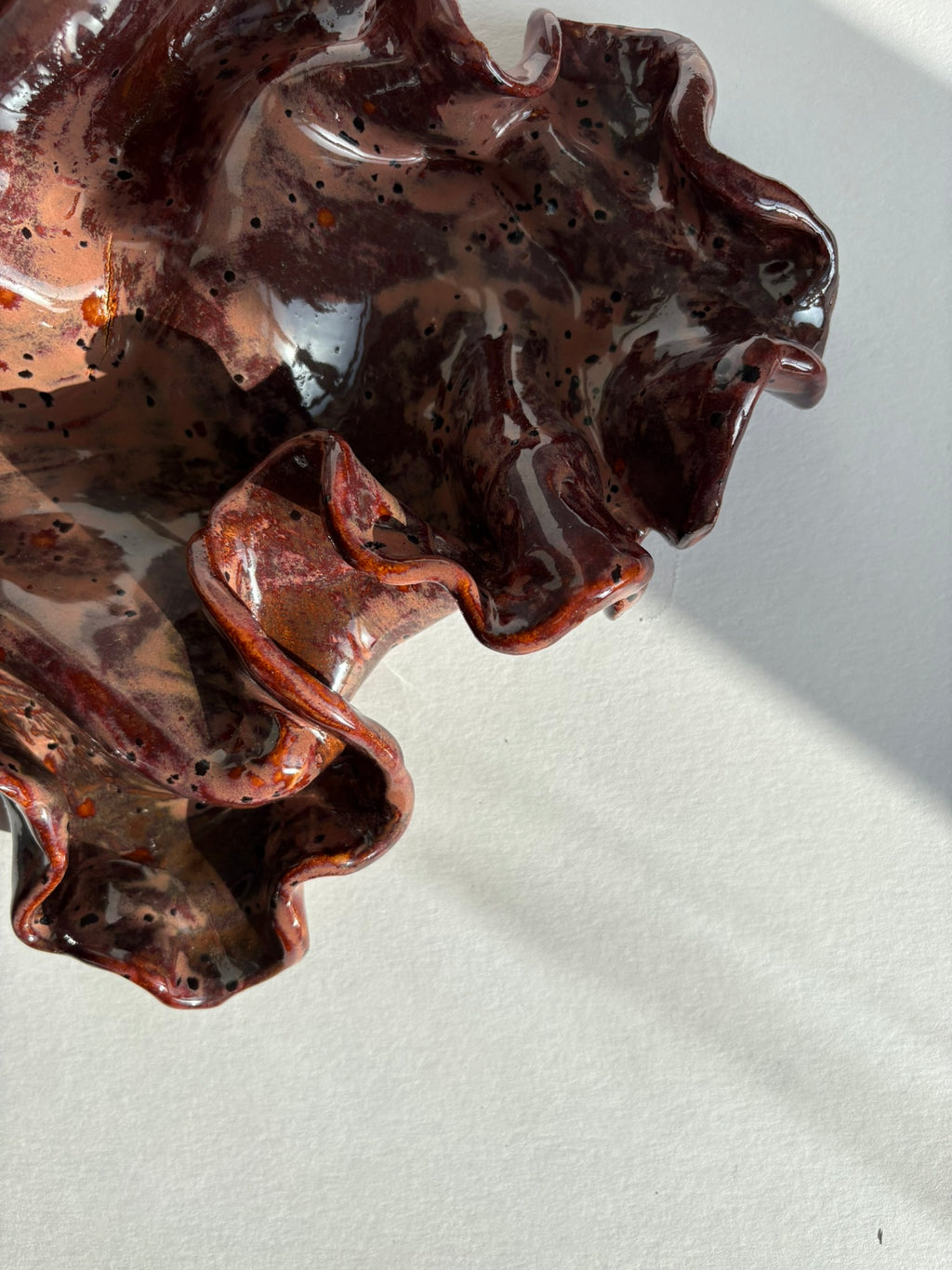 blodbøg, mellemstor