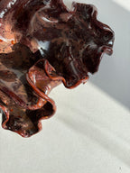 blodbøg, mellemstor