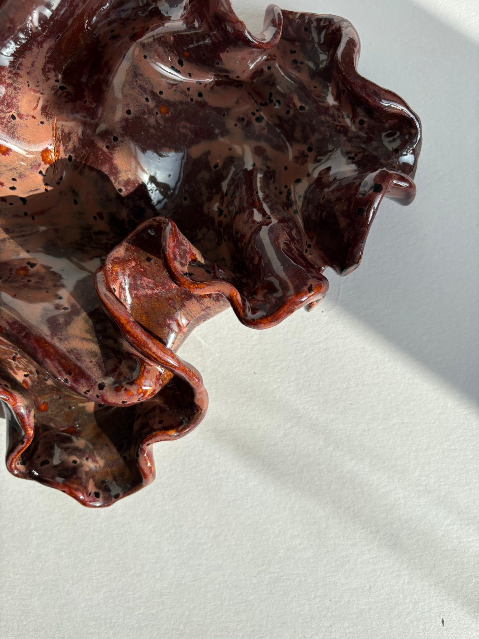 blodbøg, mellemstor