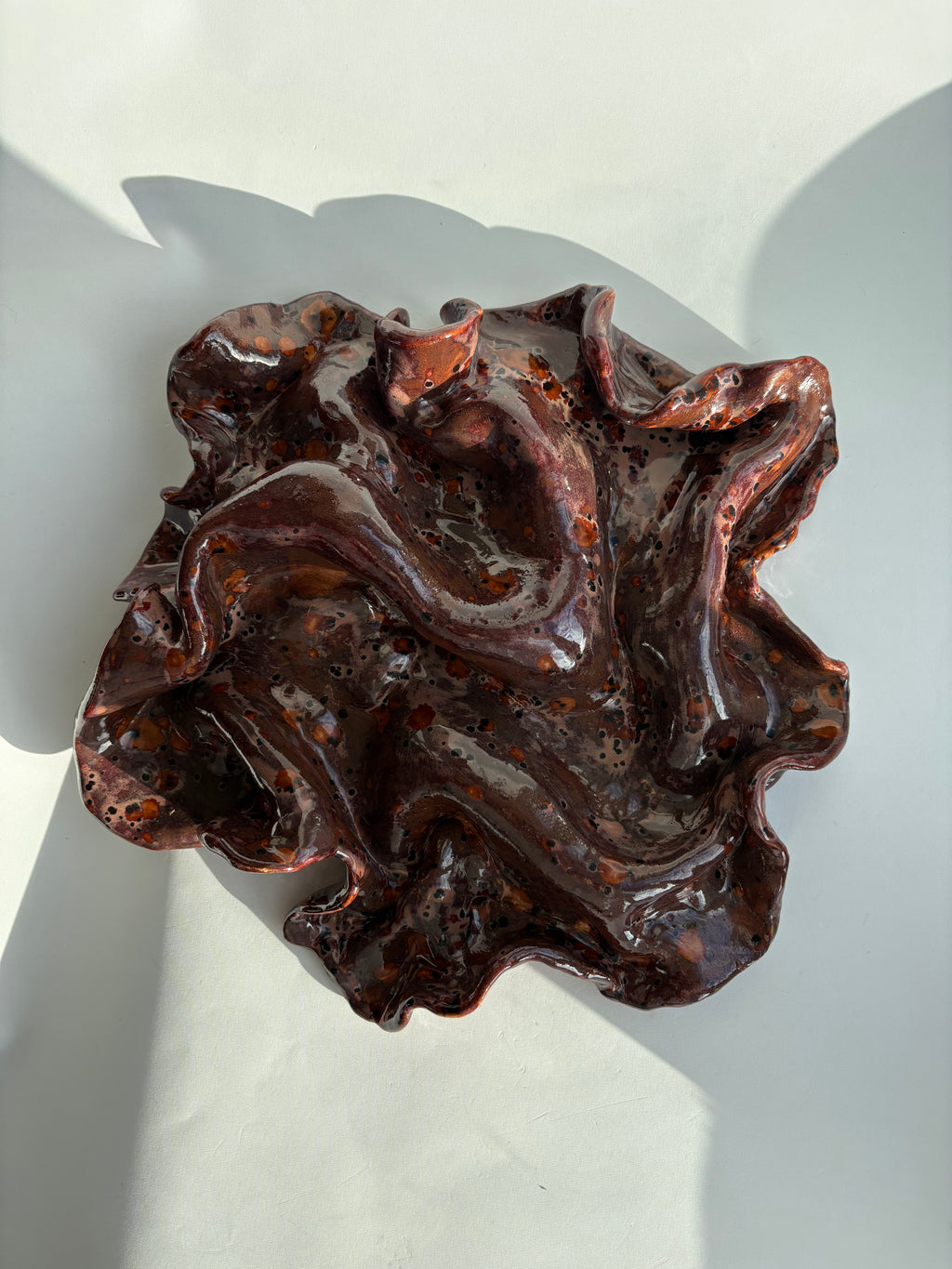 blodbøg, mellemstor