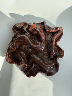 blodbøg, mellemstor