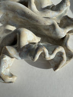 marv, mellemstor