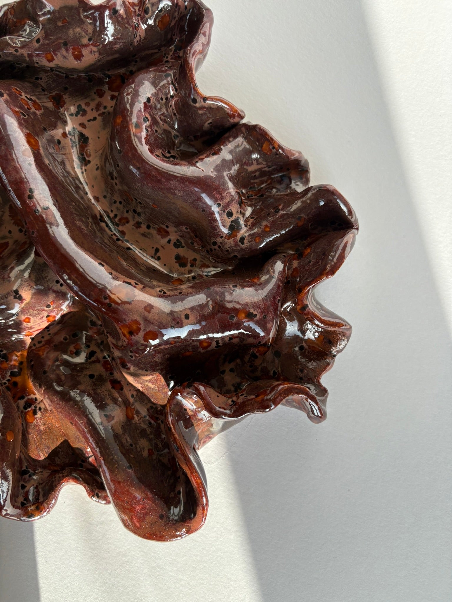 blodbøg, mellemstor