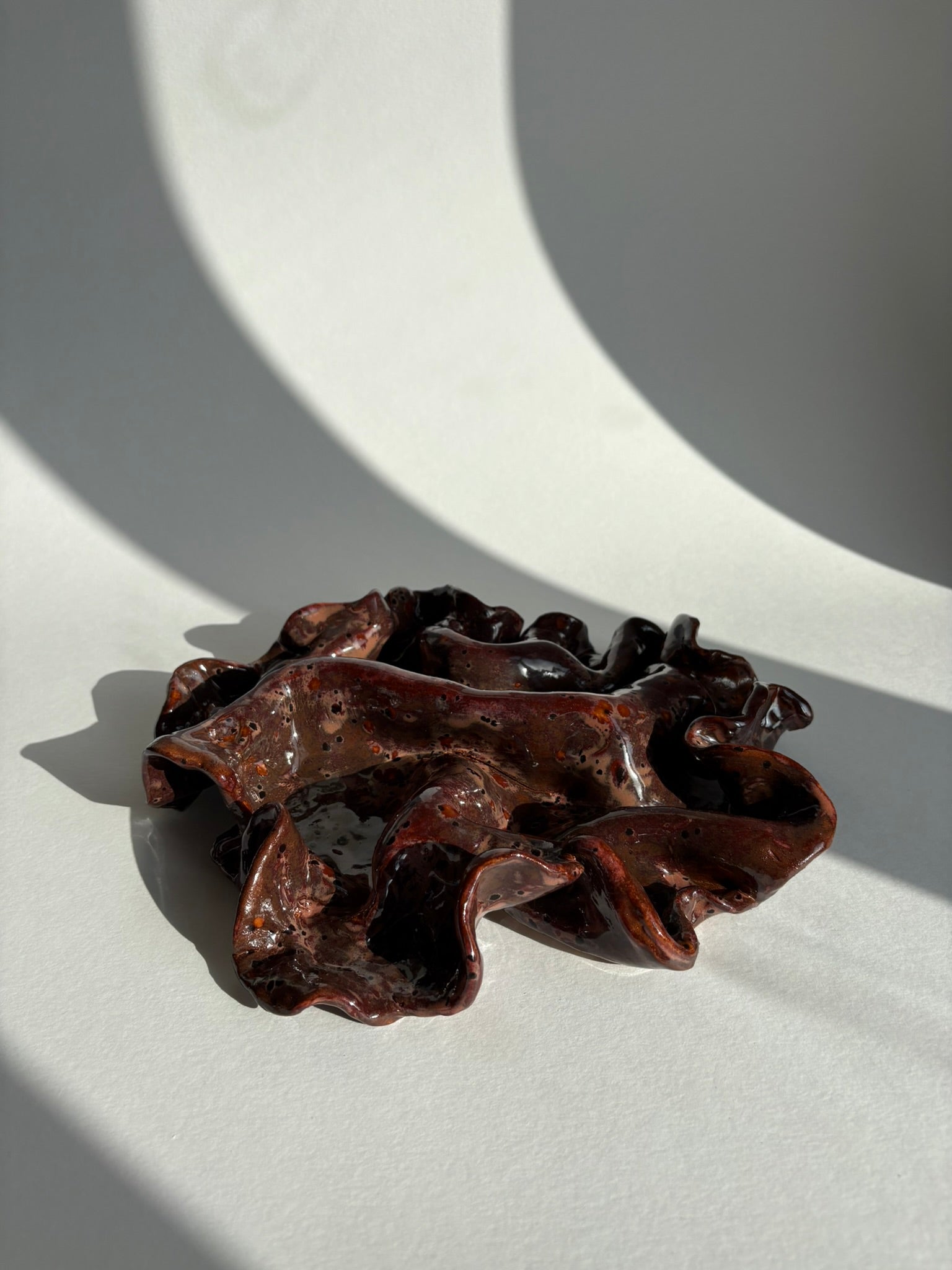 blodbøg, mellemstor