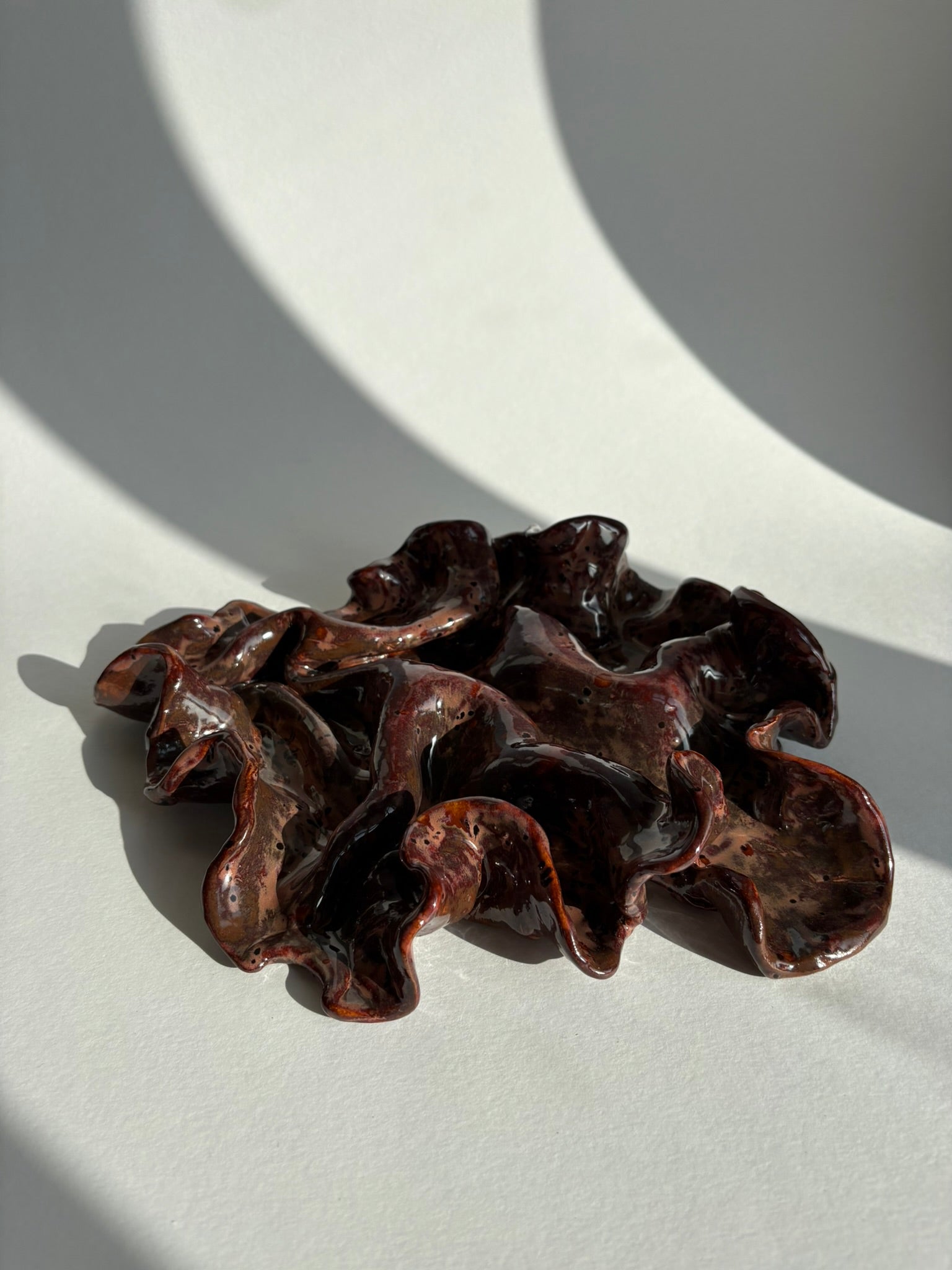 blodbøg, mellemstor