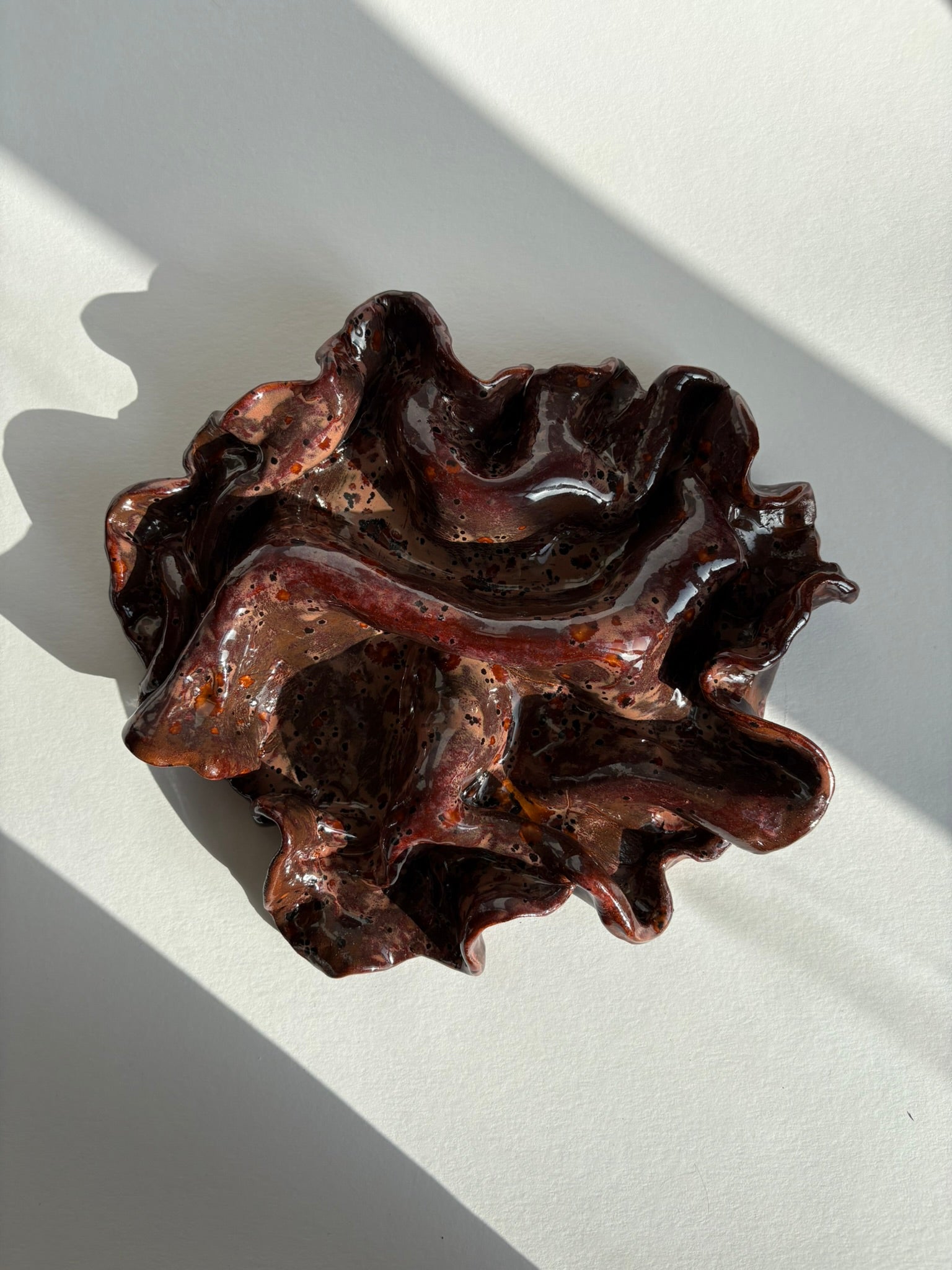 blodbøg, mellemstor