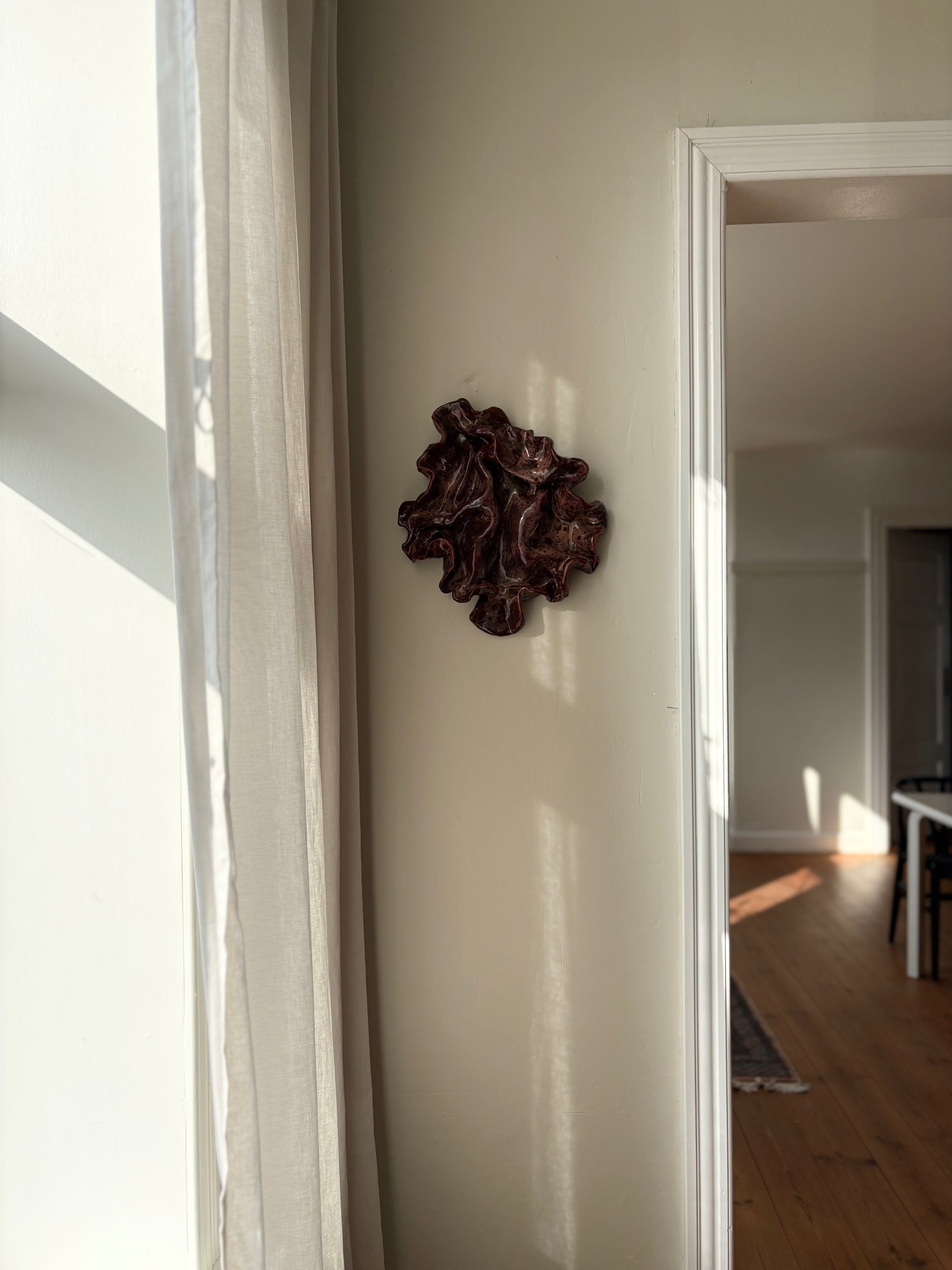 blodbøg, mellemstor