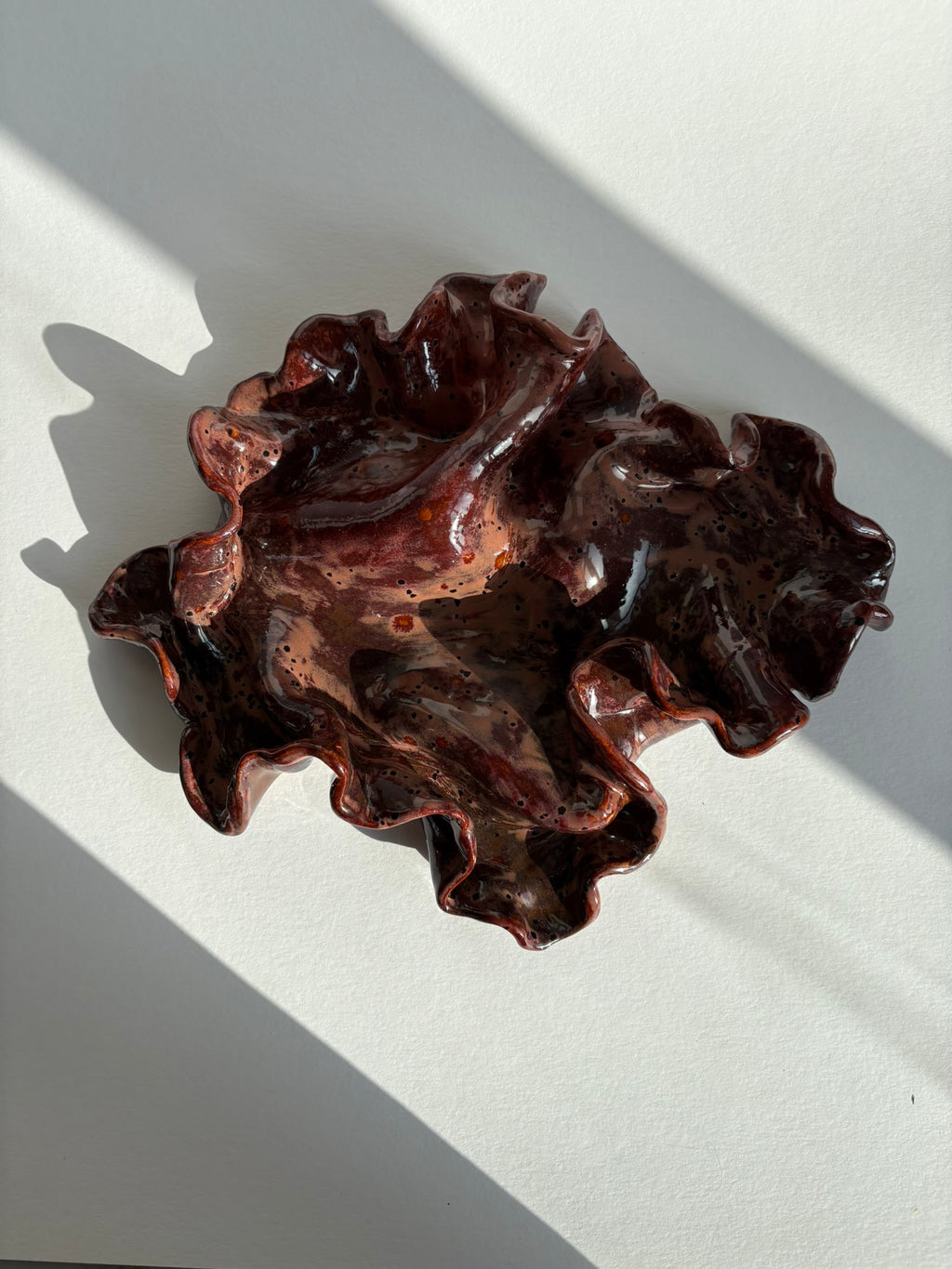 blodbøg, mellemstor