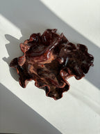 blodbøg, mellemstor