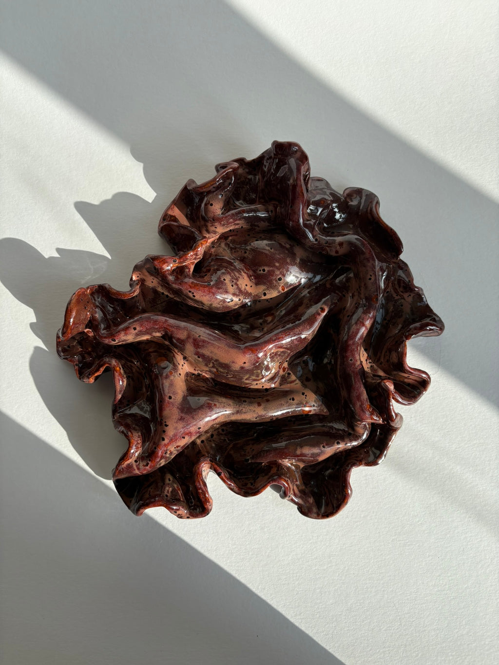 blodbøg, mellemstor