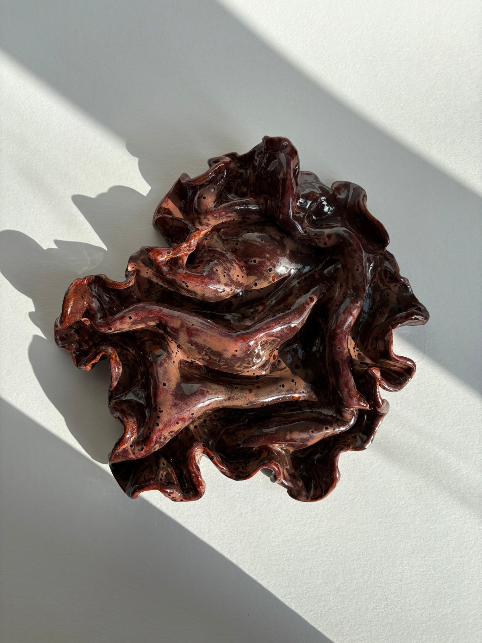 blodbøg, mellemstor