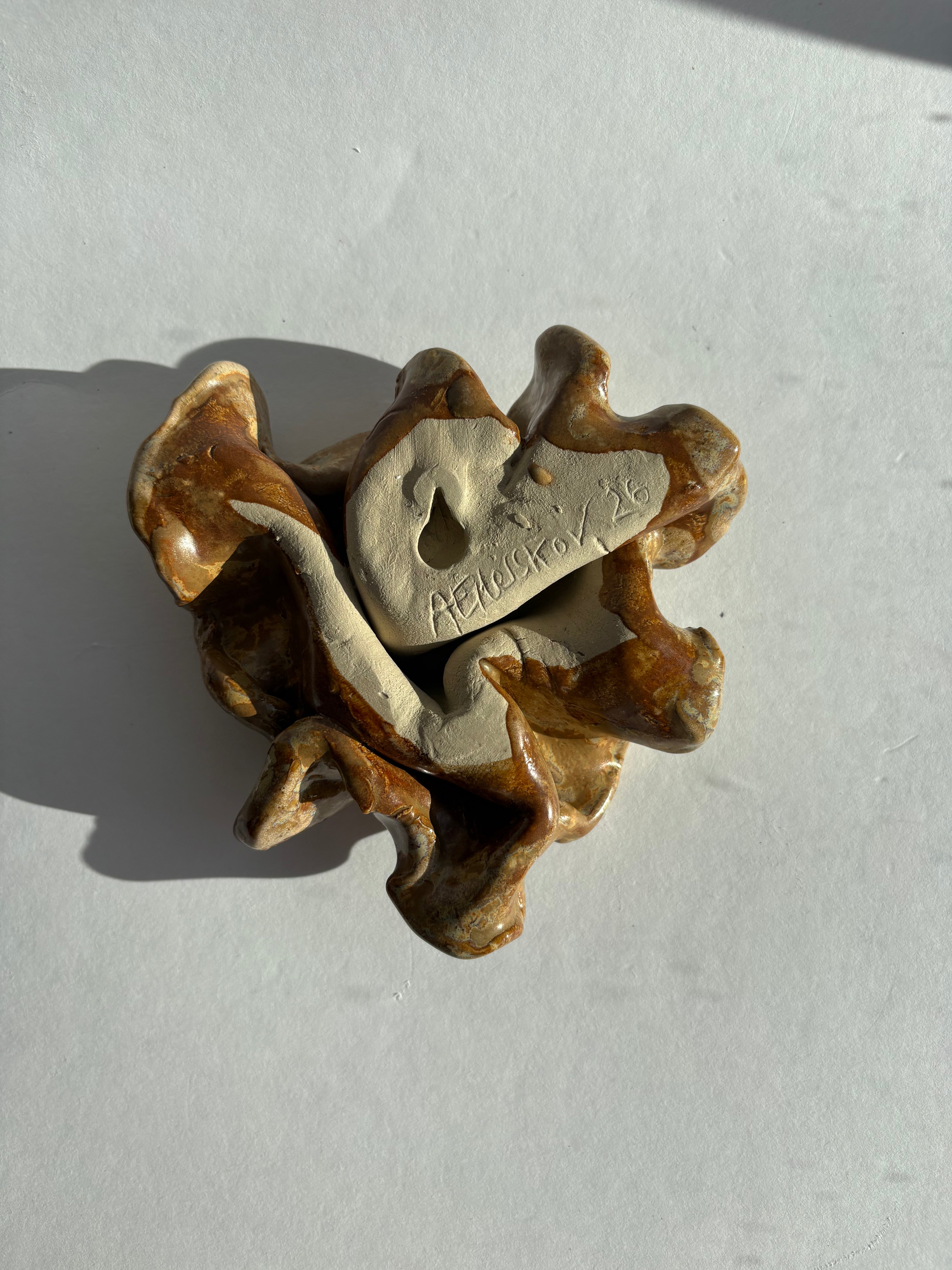 rav, mini