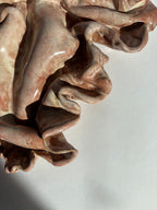 flor, mellemstor