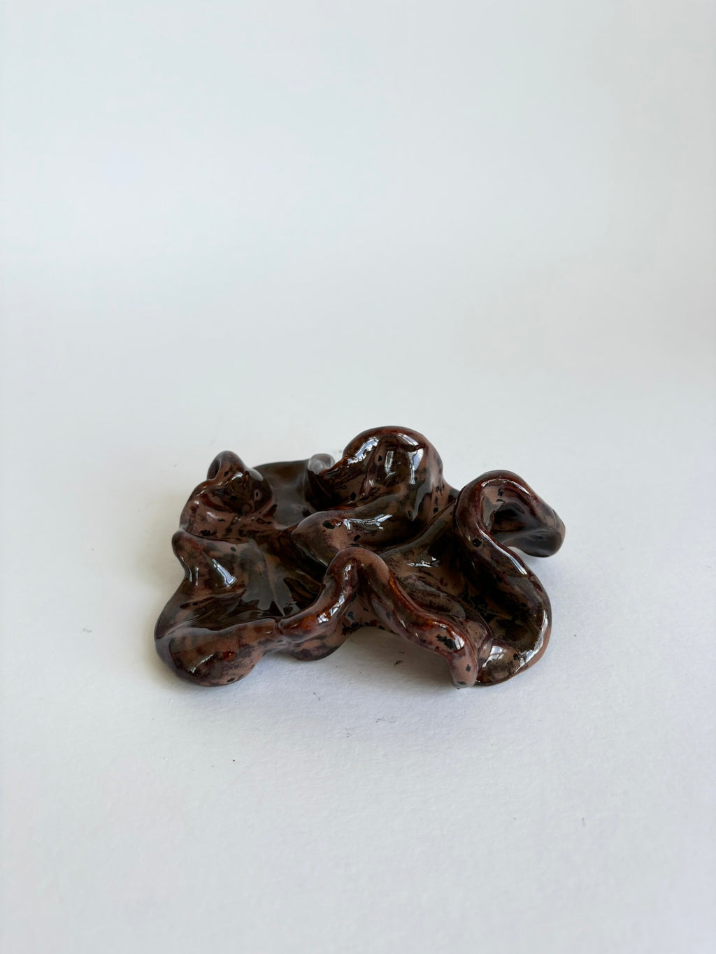 blodbøg, mini