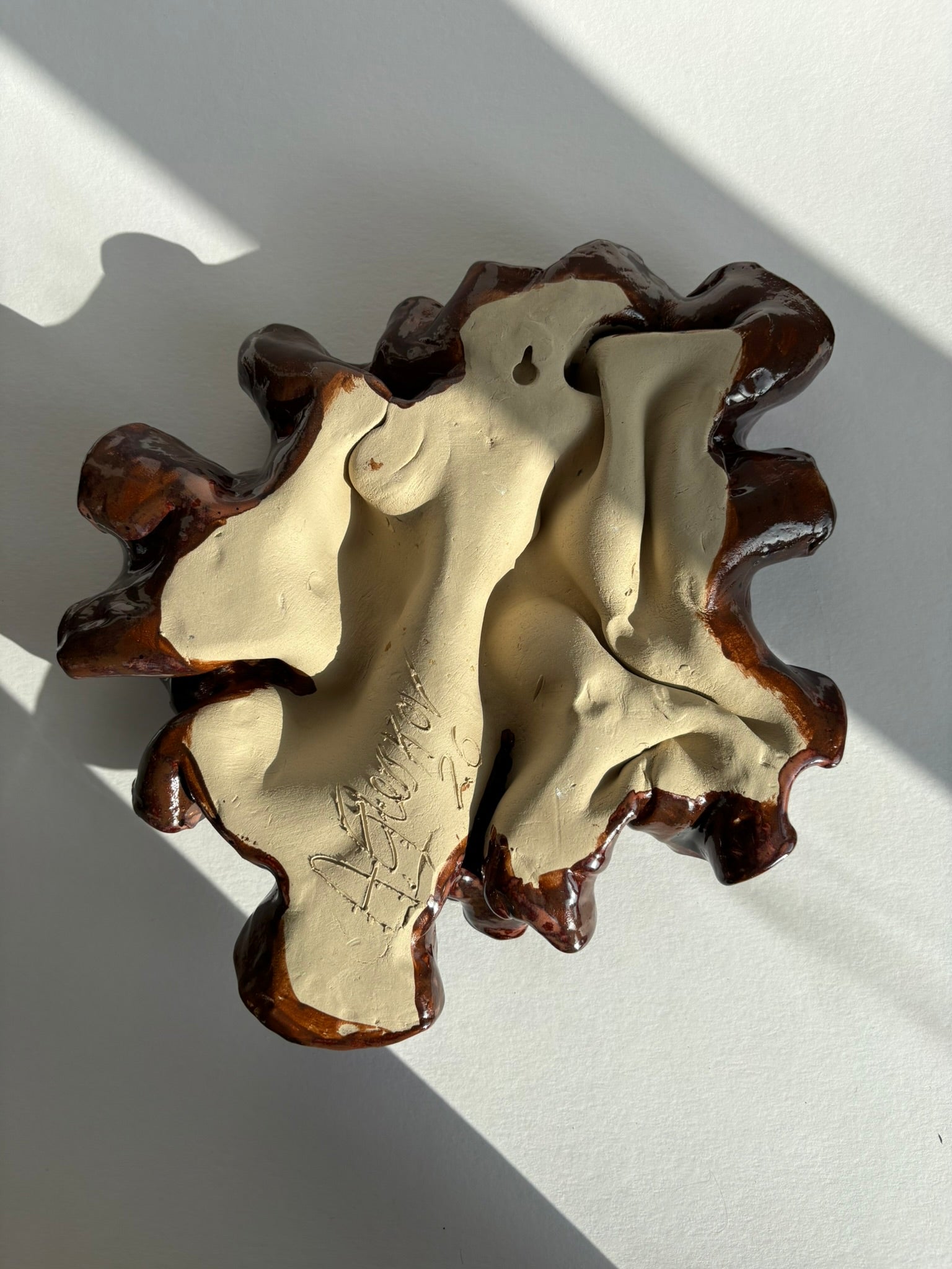 blodbøg, mellemstor