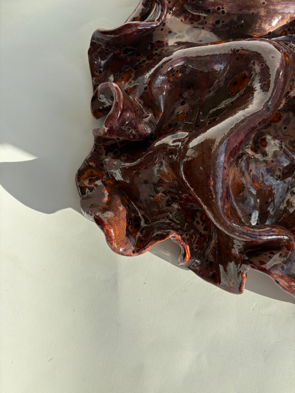 blodbøg, mellemstor