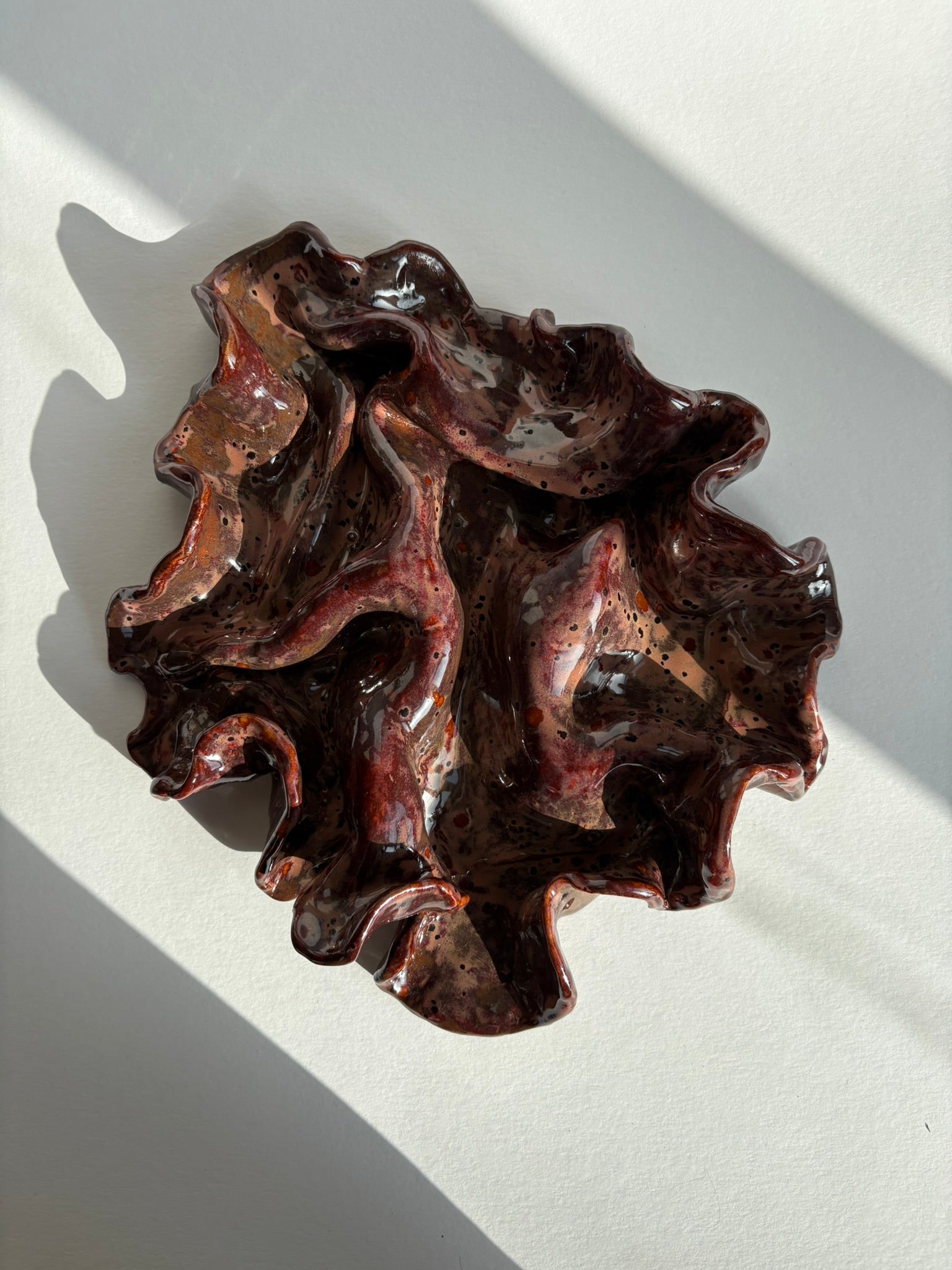 blodbøg, mellemstor