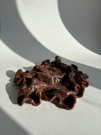 blodbøg, mellemstor