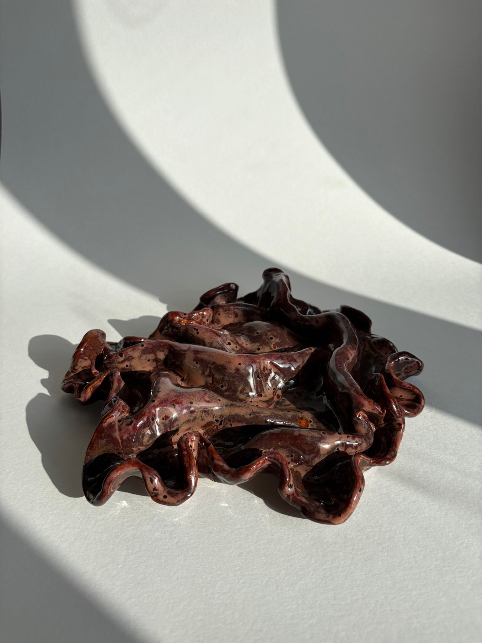 blodbøg, mellemstor