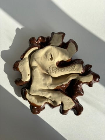 blodbøg, mellemstor