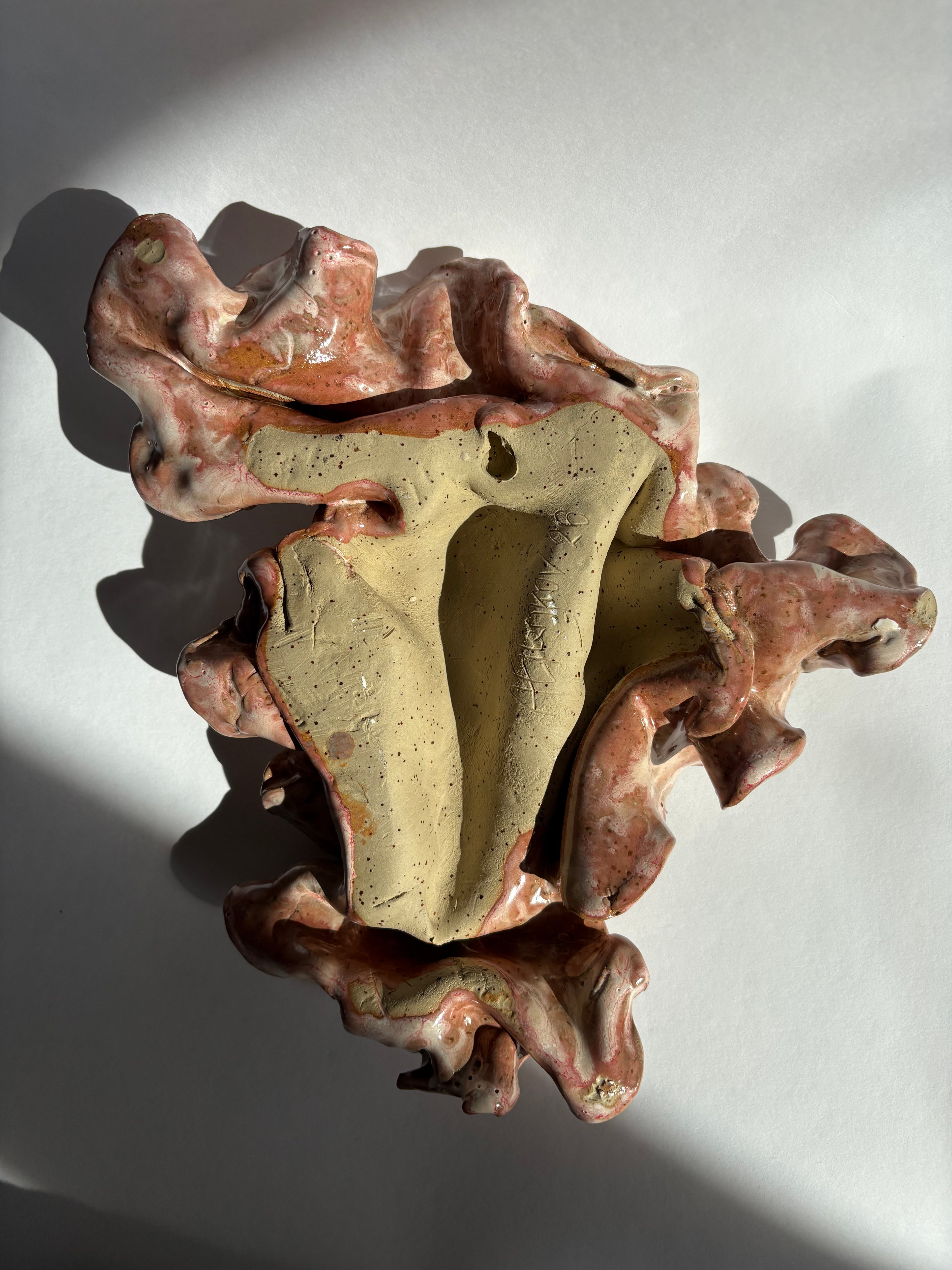 flor, mellemstor