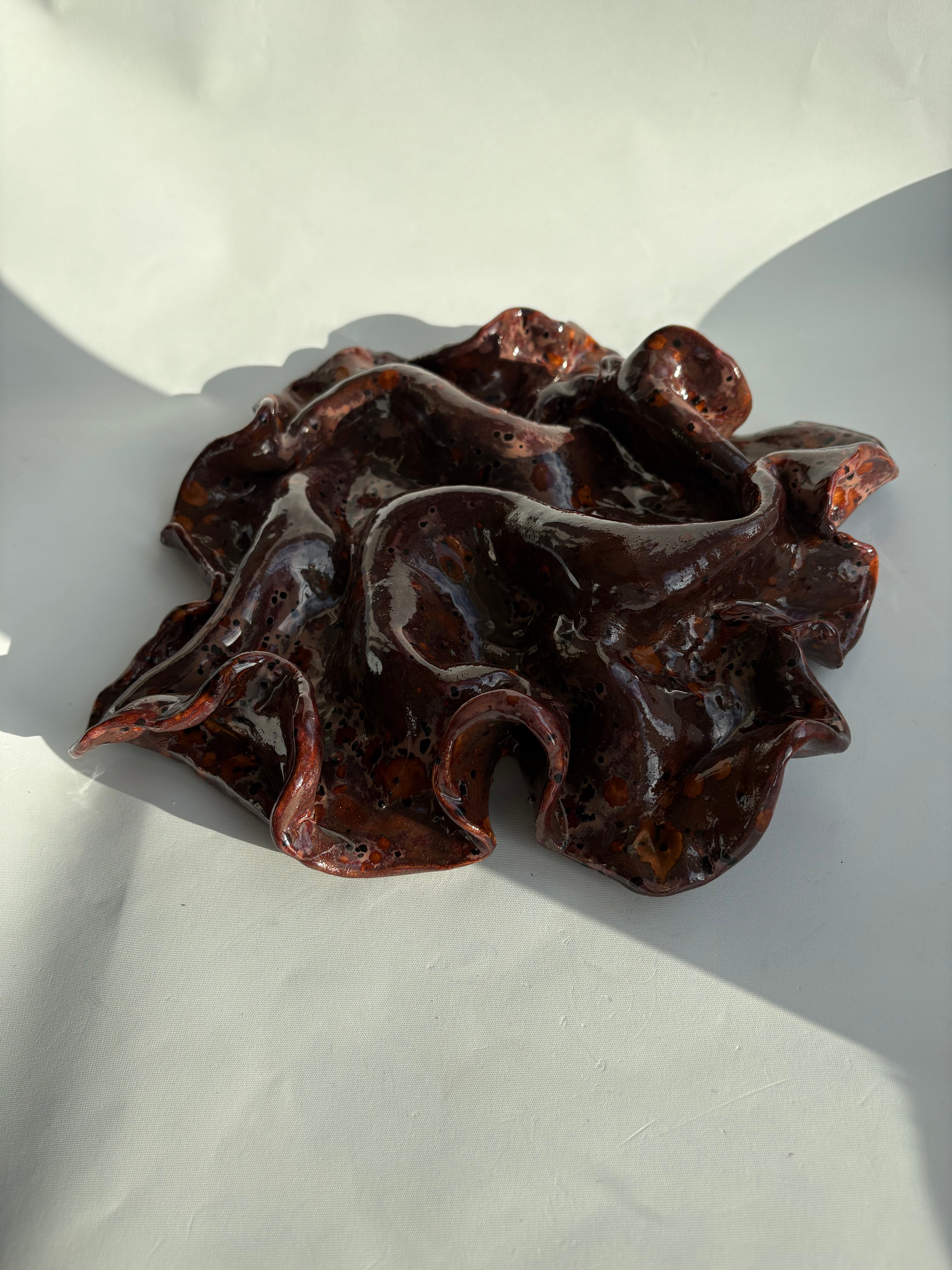 blodbøg, mellemstor